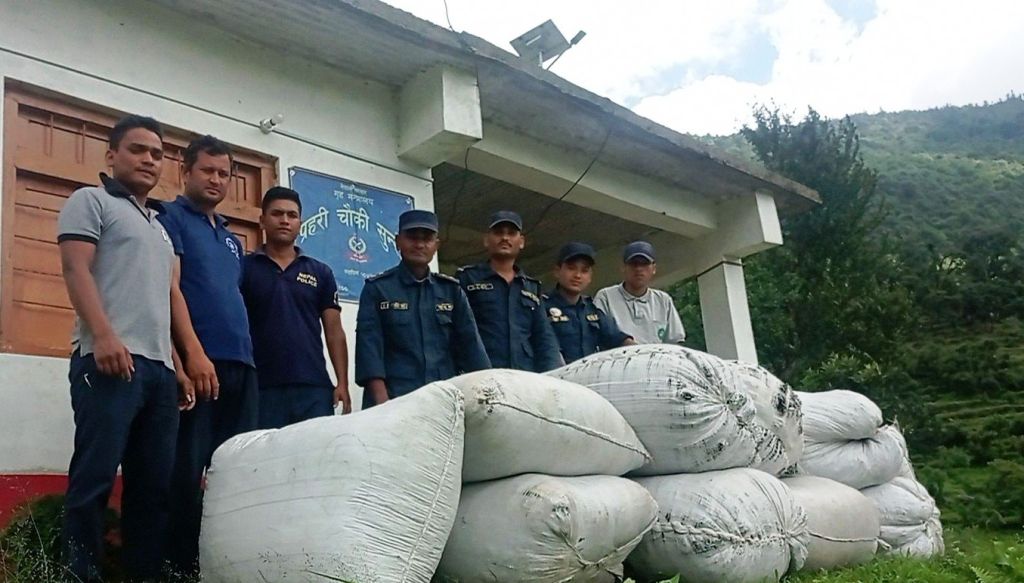 दार्चुलामा प्रतिबन्धित जडीबुटी ‘झ्याउ’ बरामद