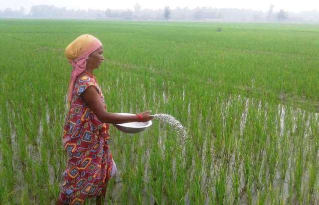 नेपाल र भारतबीच भएको जीटूजी सम्झौता अनुसार रासायनिक मल आउने निश्चित