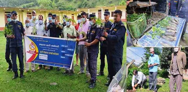 ईलाका प्रहरी कार्यालय गोकुलेश्वरले विभिन्न सार्वजनिक स्थलमा बृक्षारोपण