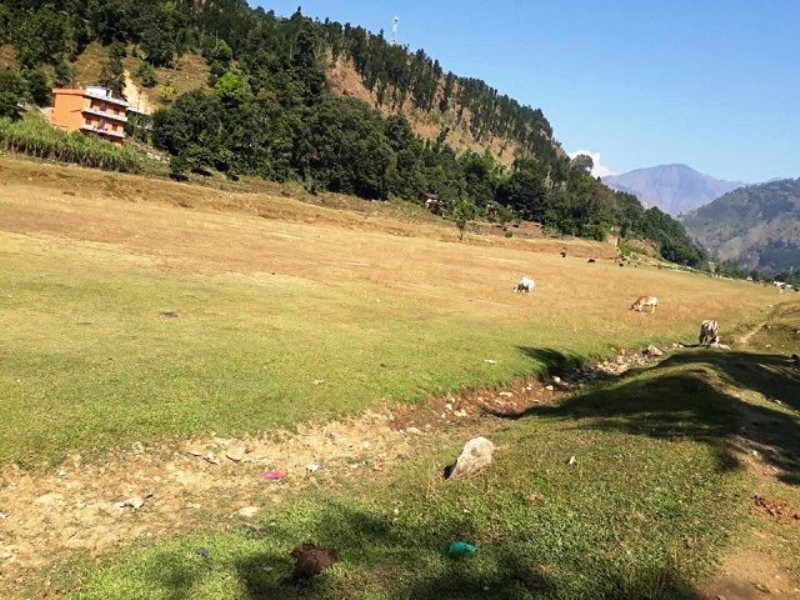 गोकुलेश्वर विमानस्थल बन्दः एक कर्मचारी तलब खादैँ