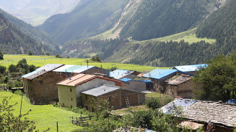 दसैंका लागि दार्चुलाबाट च्याङ्ग्रा काठमाडौं लगिदै, व्यासमा हेलिकोप्टरबाट खाद्यान्न पठाइदै