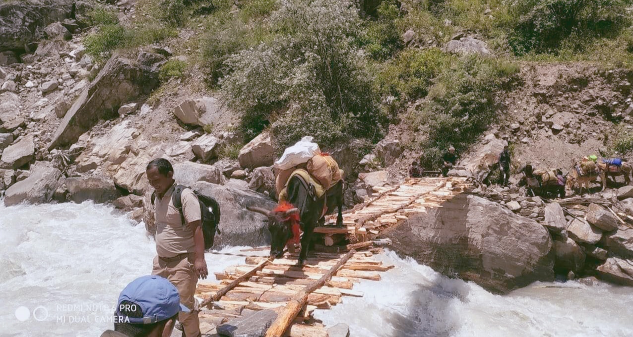 नदीमा काठेपूल लगाएर व्यासीको कुञ्चा उक्लियो ।