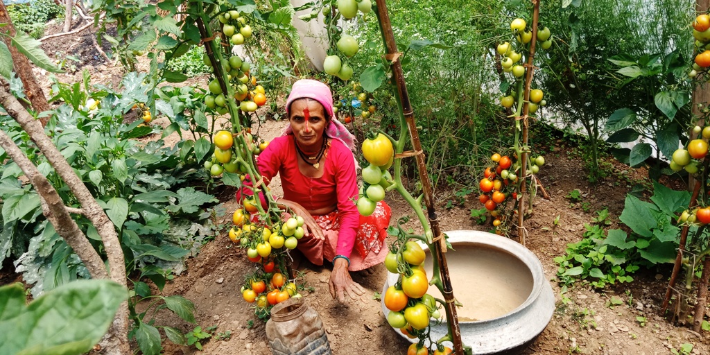 कलावतीको जिवनमा गोलभेडाले ल्यायो परिवर्तन