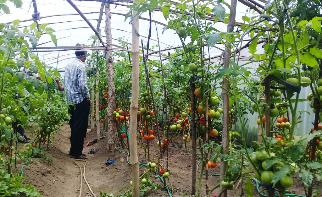 स्थानीयहरु कृषि पेशा तर्फ आक्रसित, बजारको अभाव जस्ताकाे त्यस्तै