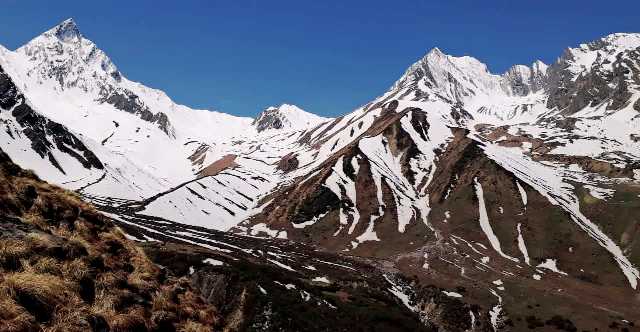 यार्सा पाटनमा यार्सा नपाइने यार्सा संकलकको गुनासो ।। 