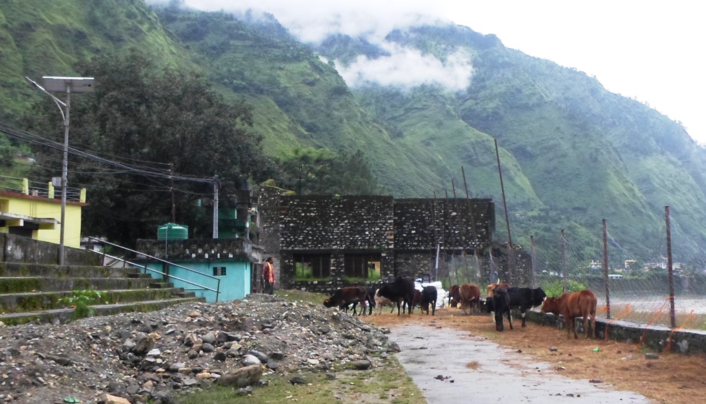 दार्चुलाको कवडहल निर्माणको रकम हिनामिना अभियोग लागेका ९ जनाले सफाई पाए 